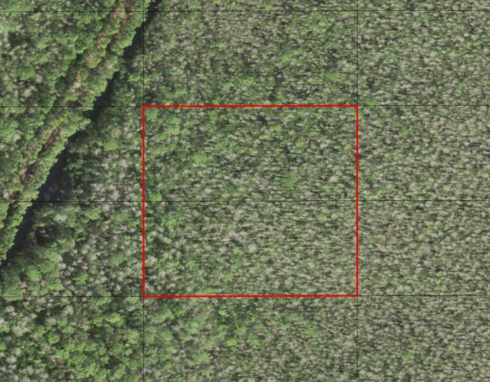 0 Holopaw Groves Road, St. Cloud, FL 34772, St Cloud