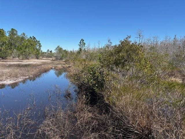 0 Holopaw Groves Road — photo 2