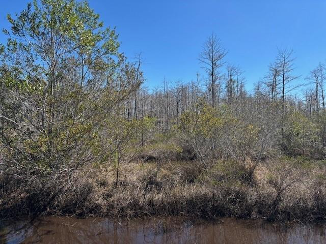 0 Holopaw Groves Road, St. Cloud, FL 34772, St Cloud