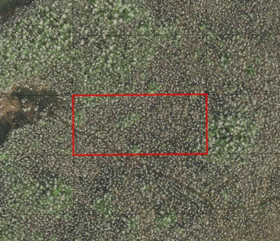 0 Holopaw Groves Road, St. Cloud, FL 34772, St Cloud