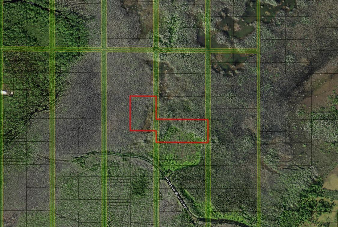 0 Holopaw Groves Road, St. Cloud, FL 34772, St Cloud