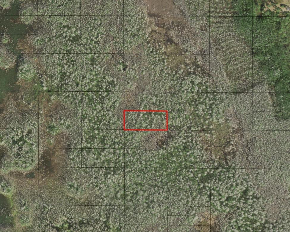0 Holopaw Groves Road, St. Cloud, FL 34772, St Cloud