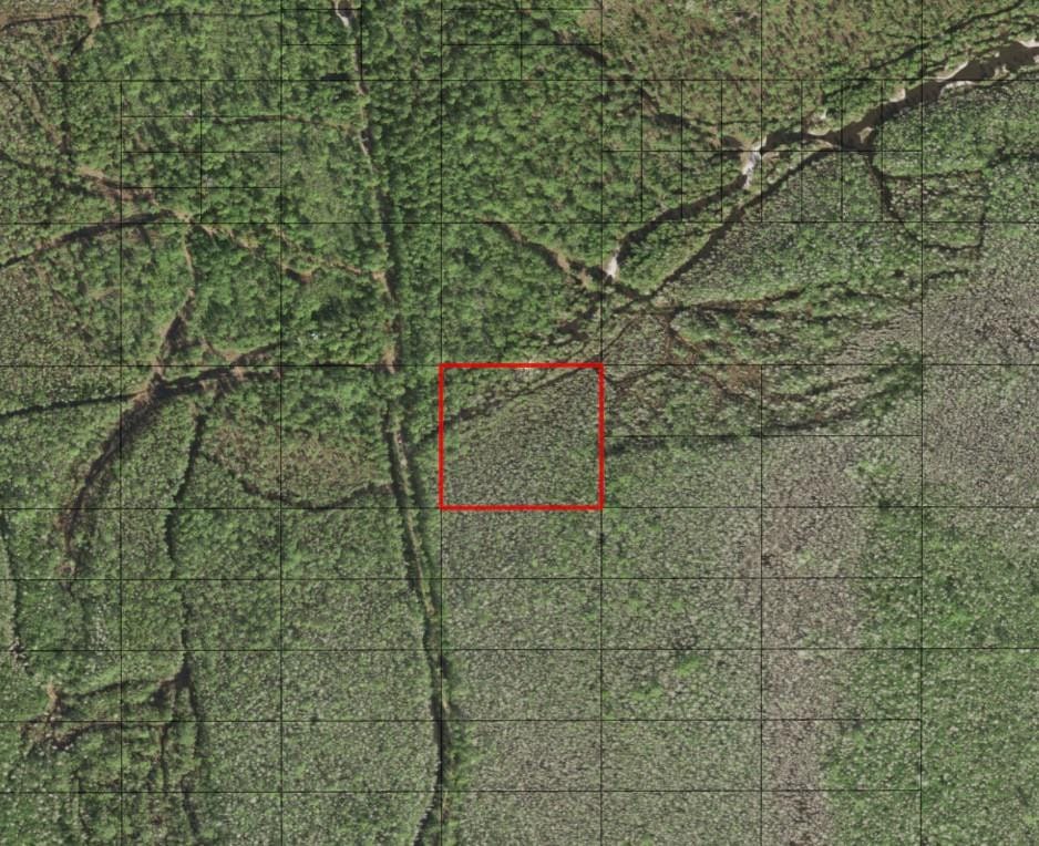 0 Holopaw Groves Road — photo 2