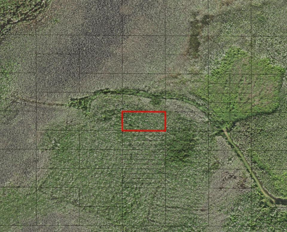 0 Holopaw Groves Road, St. Cloud, FL 34772, St Cloud