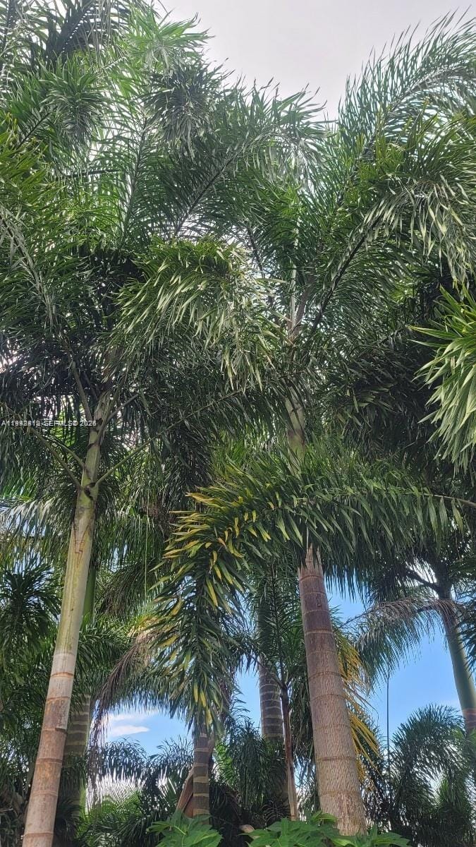 172 Street, Miami, FL 33187 photo 10