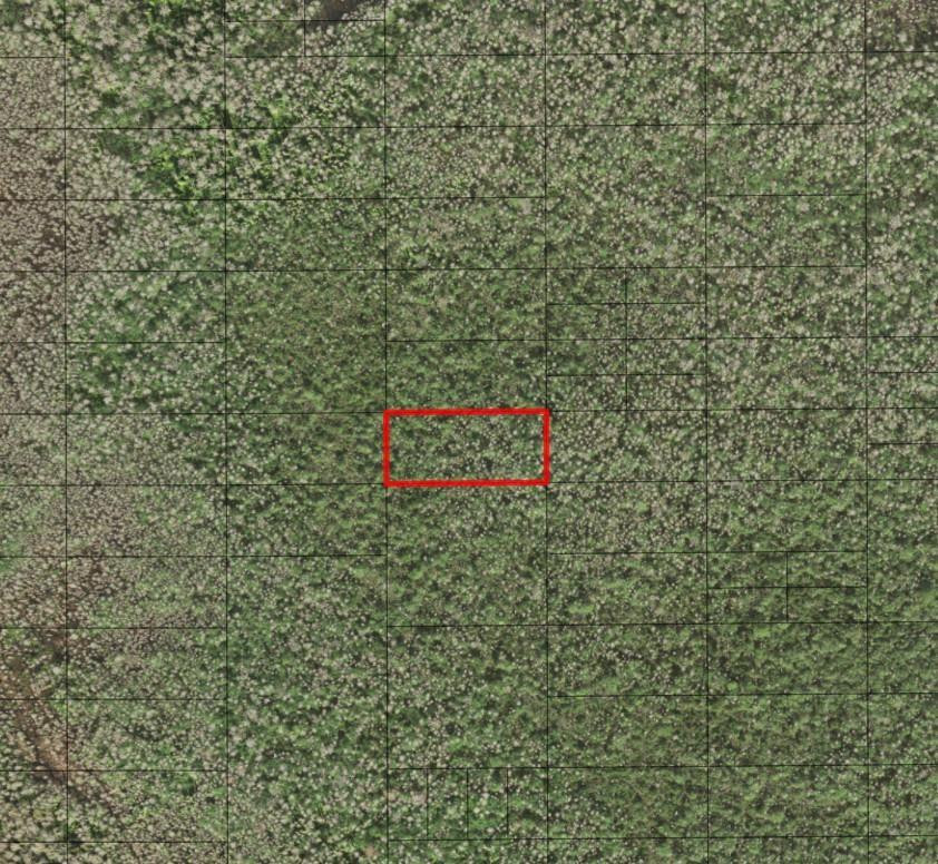 0 Holopaw Groves Road, St. Cloud, FL 34772, St Cloud