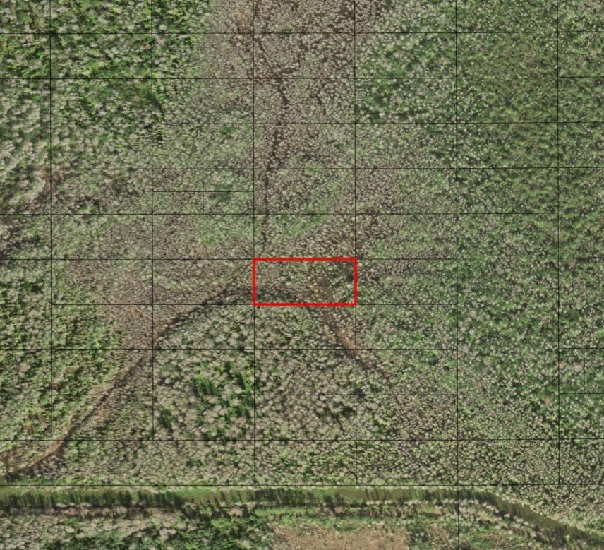 0 Holopaw Groves Road, St. Cloud, FL 34772, St Cloud