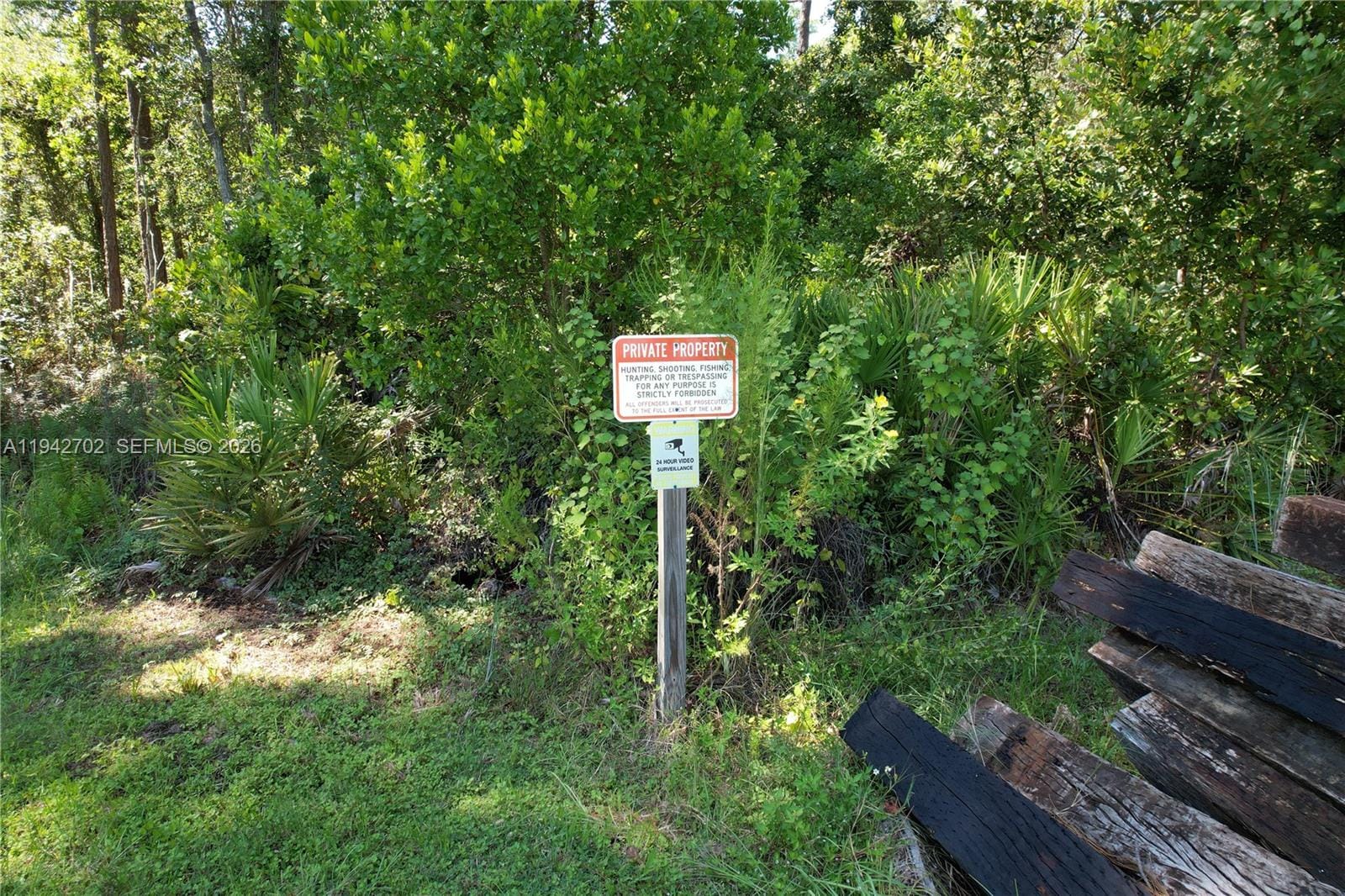 0 Jb Carter Road — photo 6