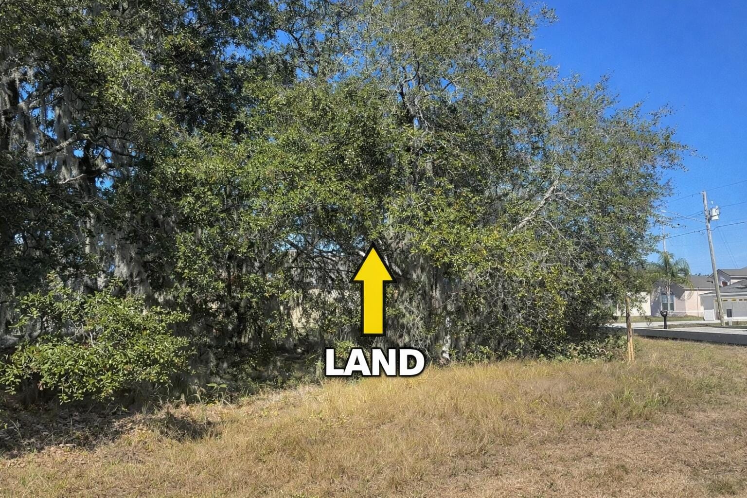 180 Big Black Drive — photo 4