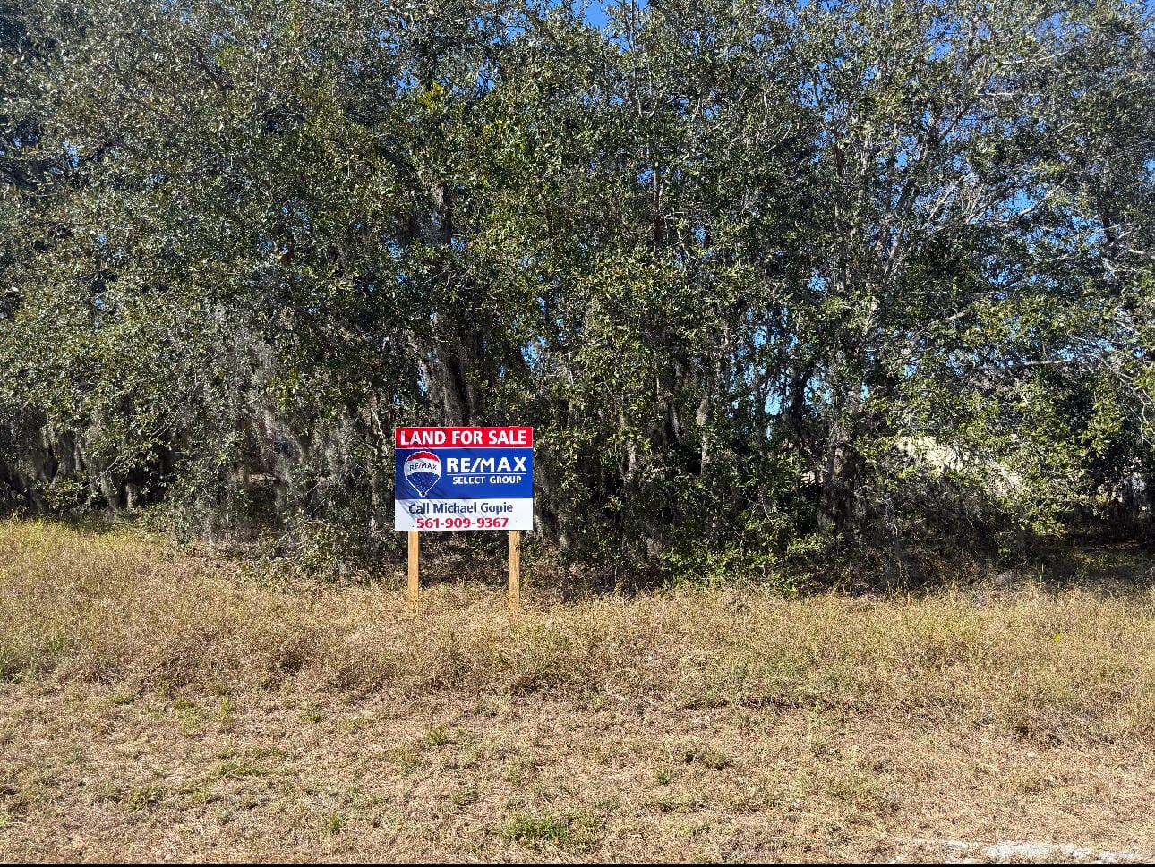 180 Big Black Drive — photo 5
