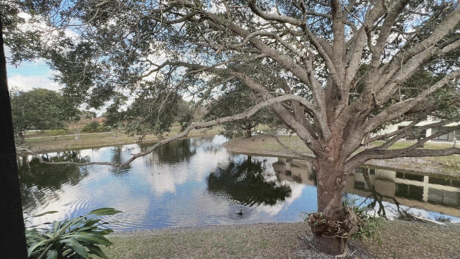 4205 Oak Terrace Drive 4205, Greenacres, FL 33463 photo 22