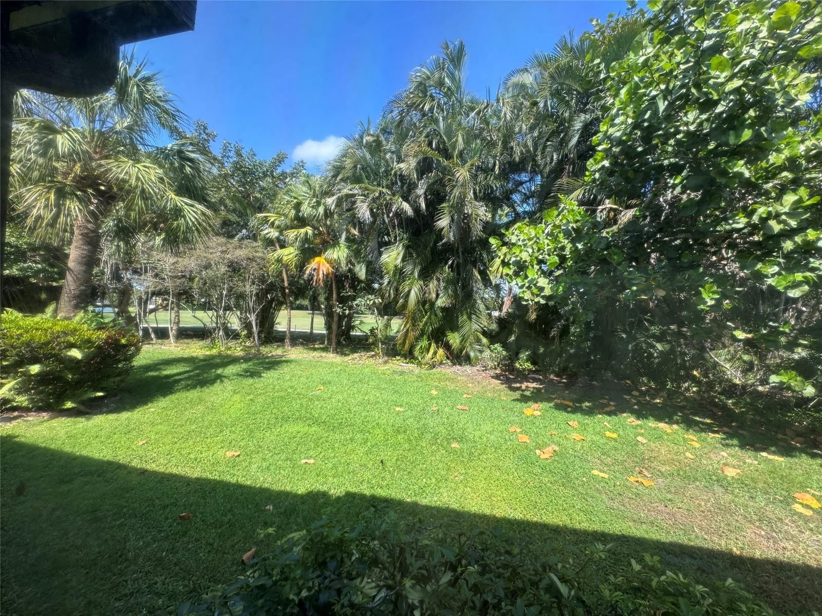 956 Mockingbird 506, Plantation, FL 33324 photo 24