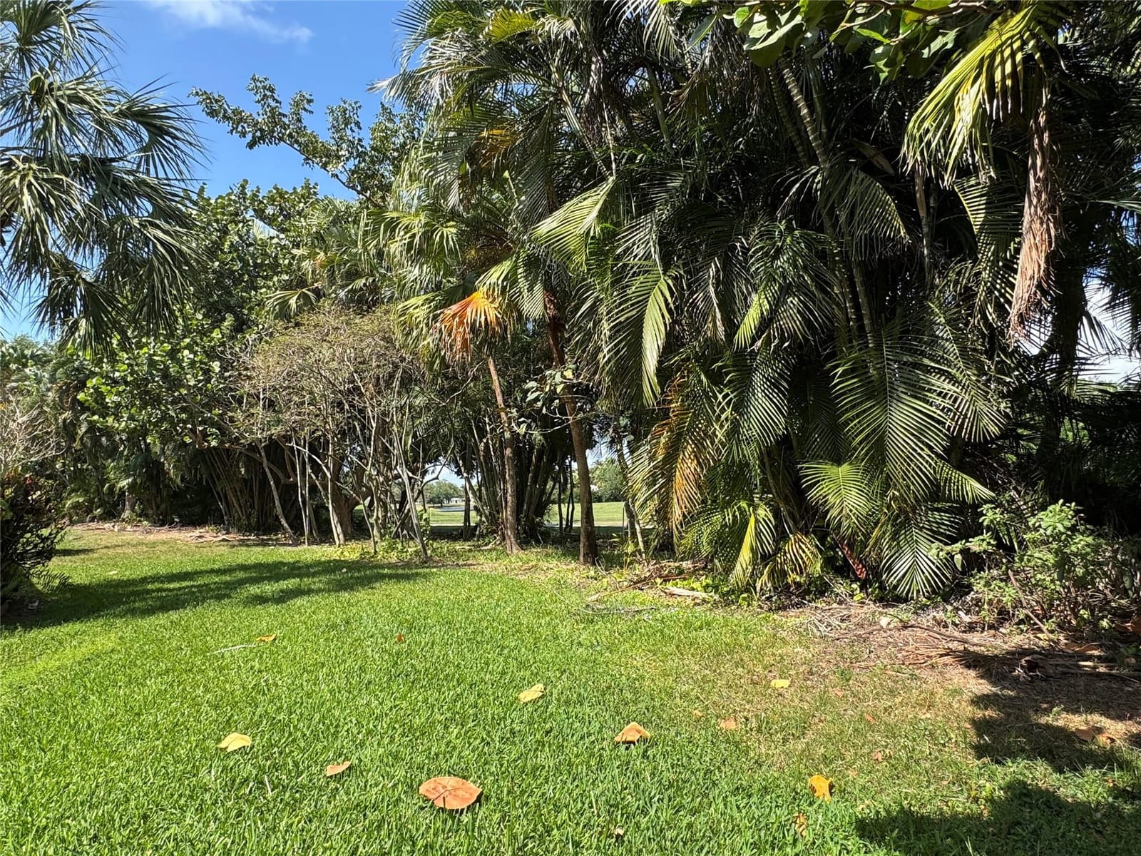 956 Mockingbird 506, Plantation, FL 33324 photo 25