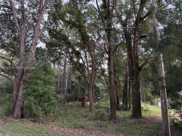 0 St Benedict Drive, Dunnellon Heights, Dunnellon, FL