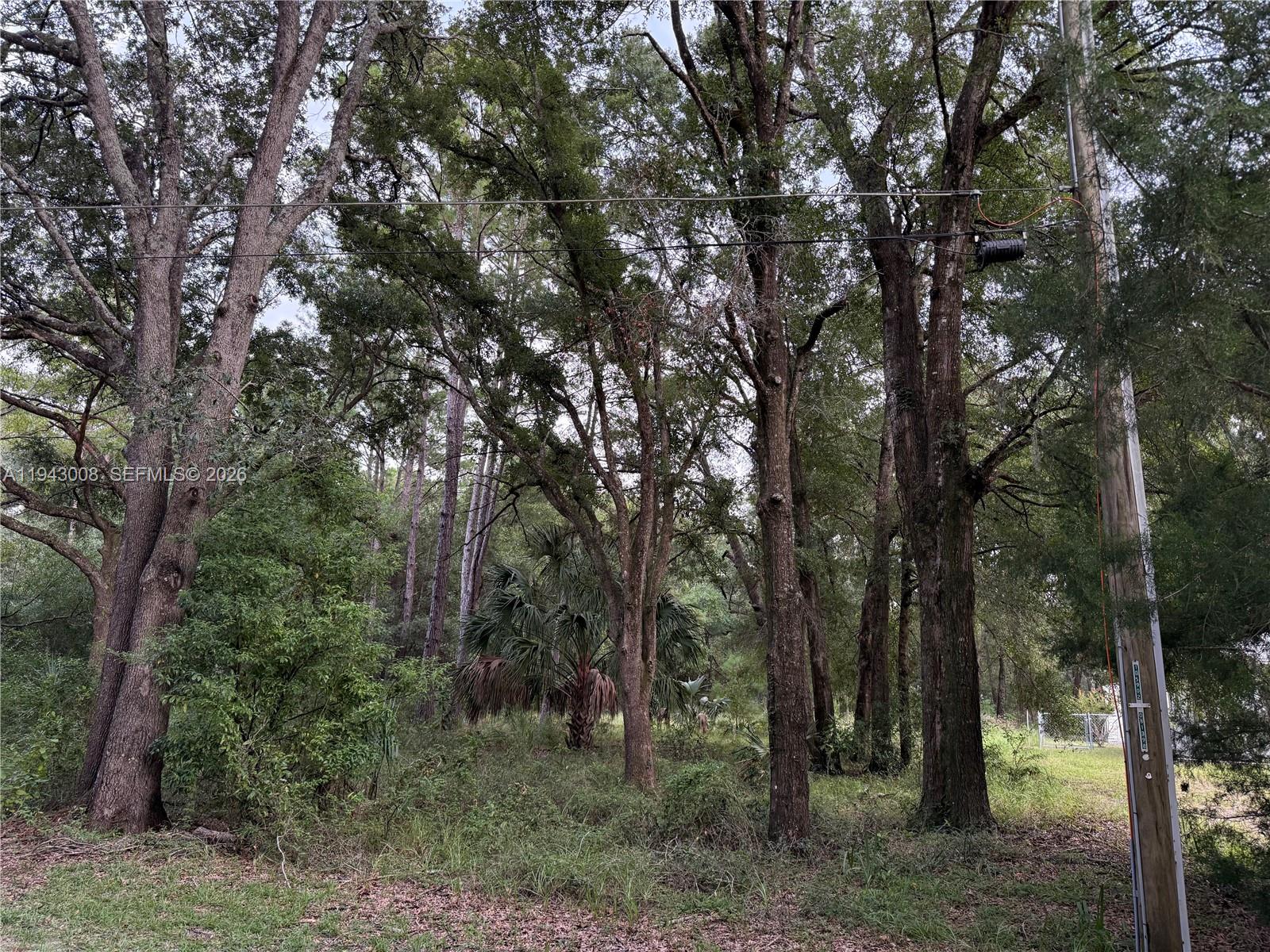 0 St Benedict Drive, FL 34432, Dunnellon