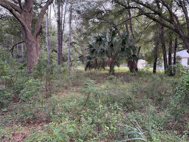 0 St Benedict Drive, Dunnellon Heights, Dunnellon, FL