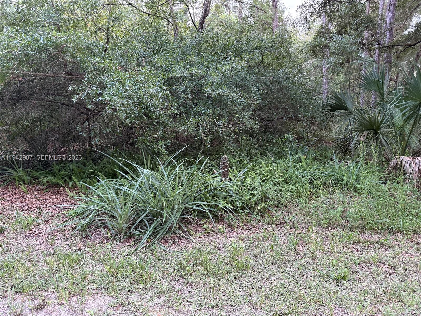 0 St Benedict Drive — photo 2