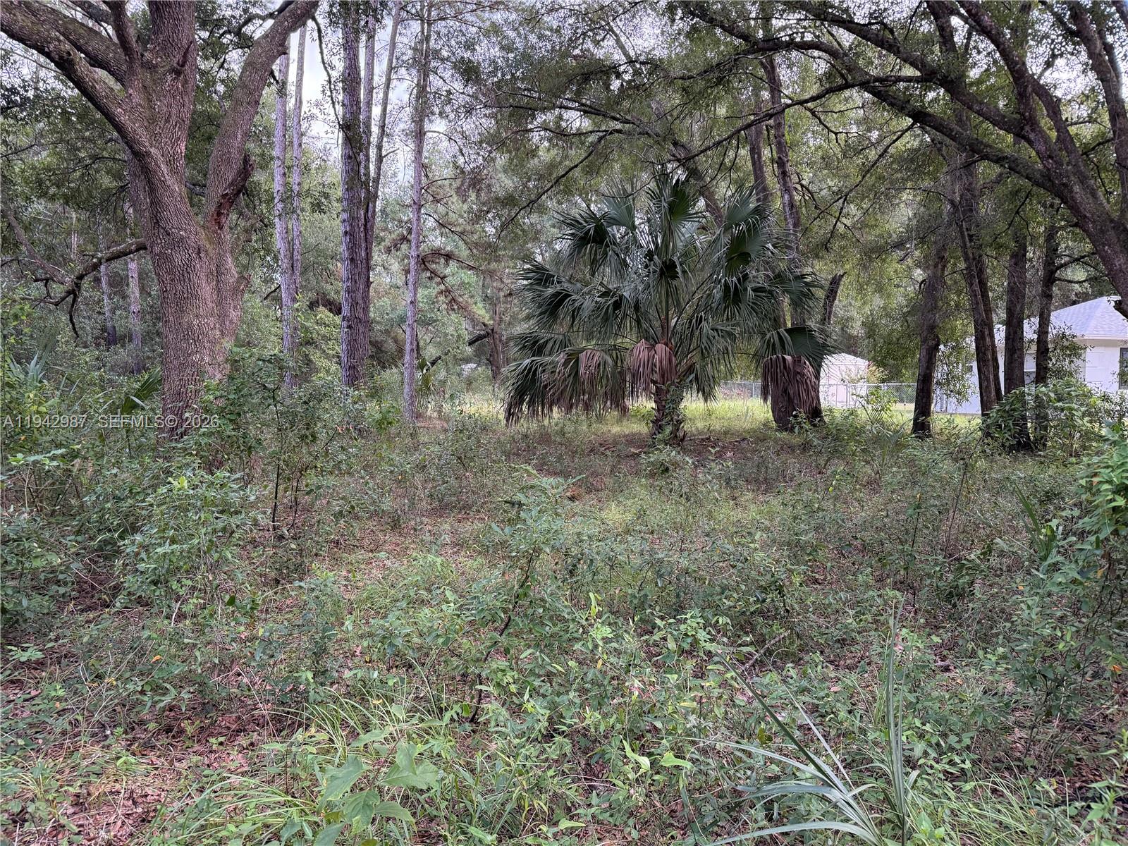 0 St Benedict Drive, FL 34432, Dunnellon