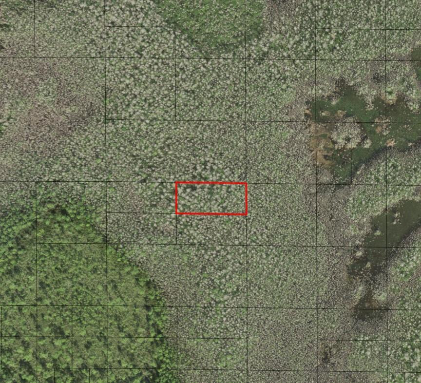 0 Holopaw Groves Road, St. Cloud, FL 34772, St Cloud
