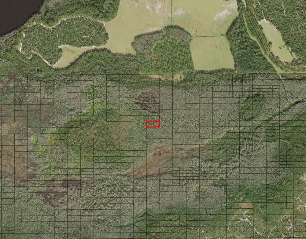 0 Holopaw Groves Road — photo 2