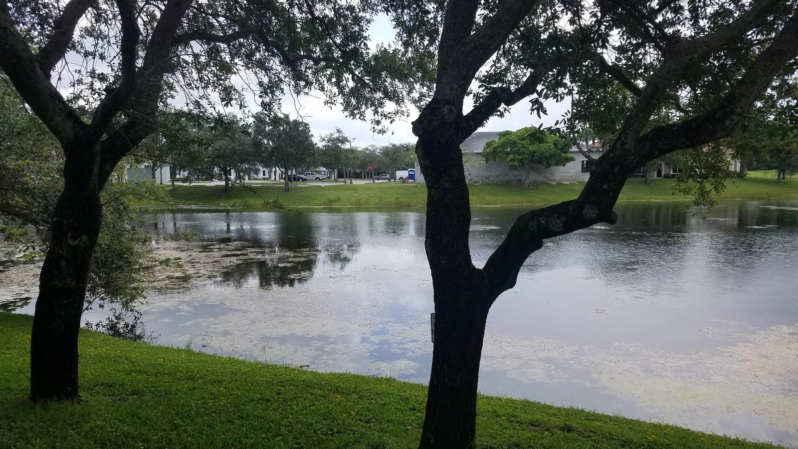 1402 Royal Palm Beach Boulevard 300 — photo 11