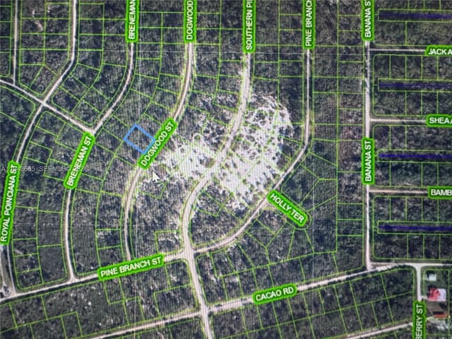 1230 Dogwood, Lake Placid, FL 33852