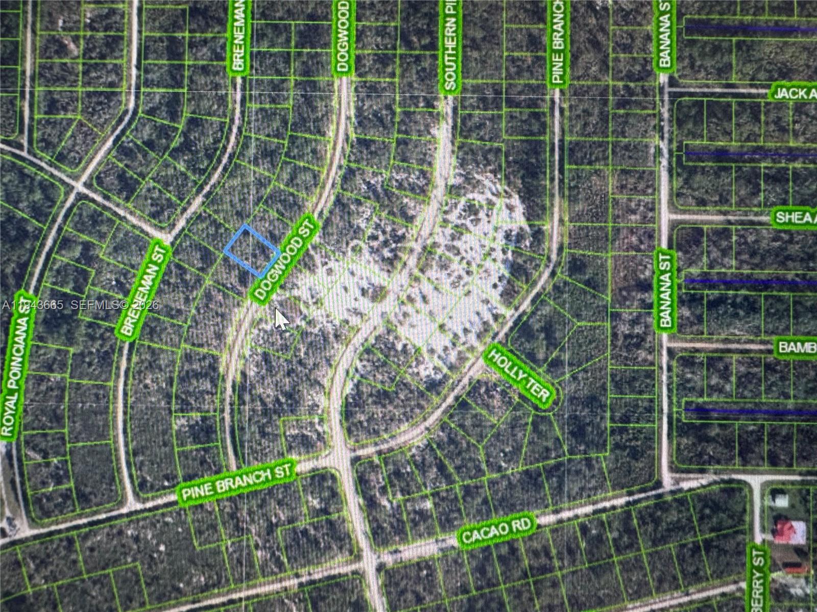 1230 Dogwood, Lake Placid, FL 33852, Lake Placid