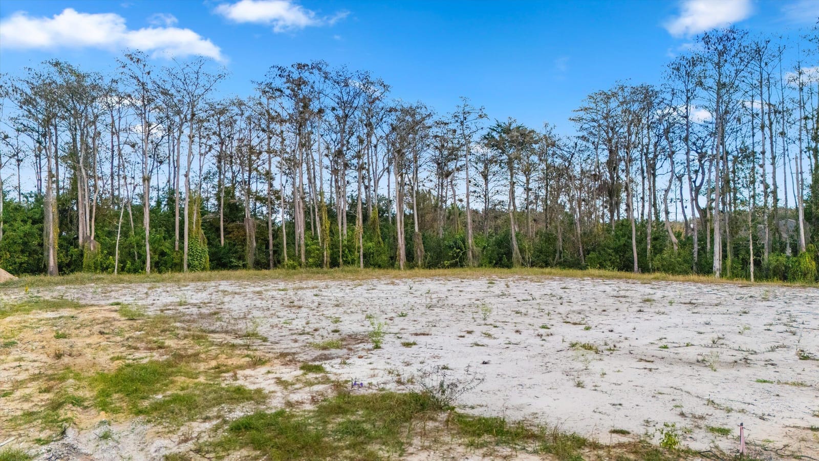 Xxxxx 88th Trail, Palm Beach Gardens, FL 33418 photo 8