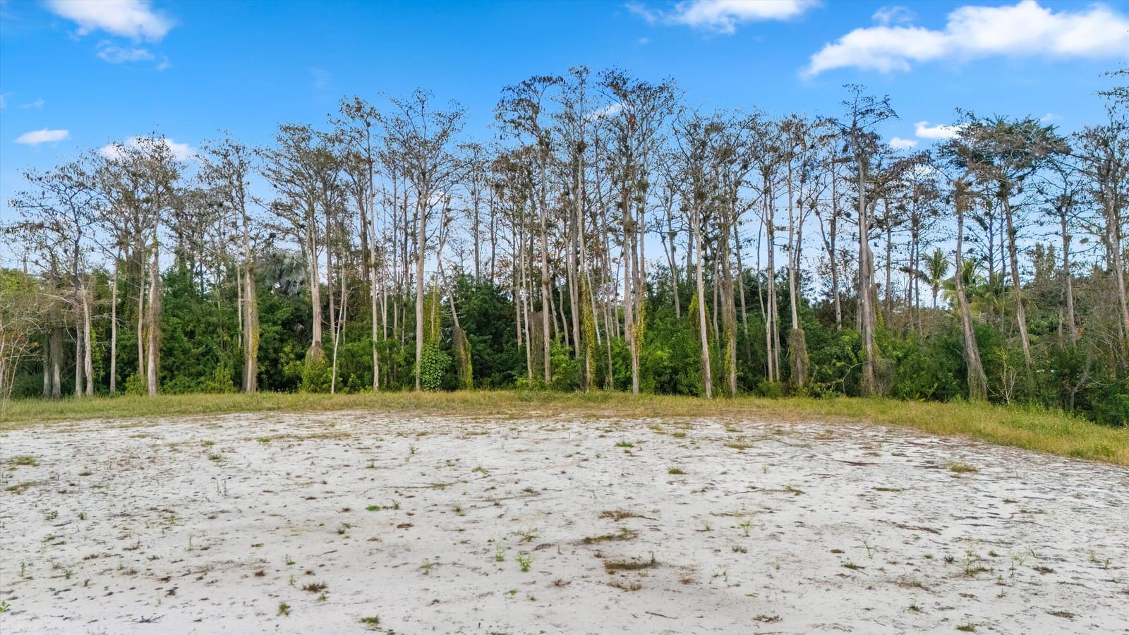 Xxxxx 88th Trail, Palm Beach Gardens, FL 33418 photo 9