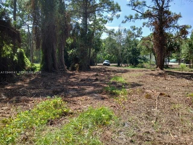0000 Bobcat Run — photo 7