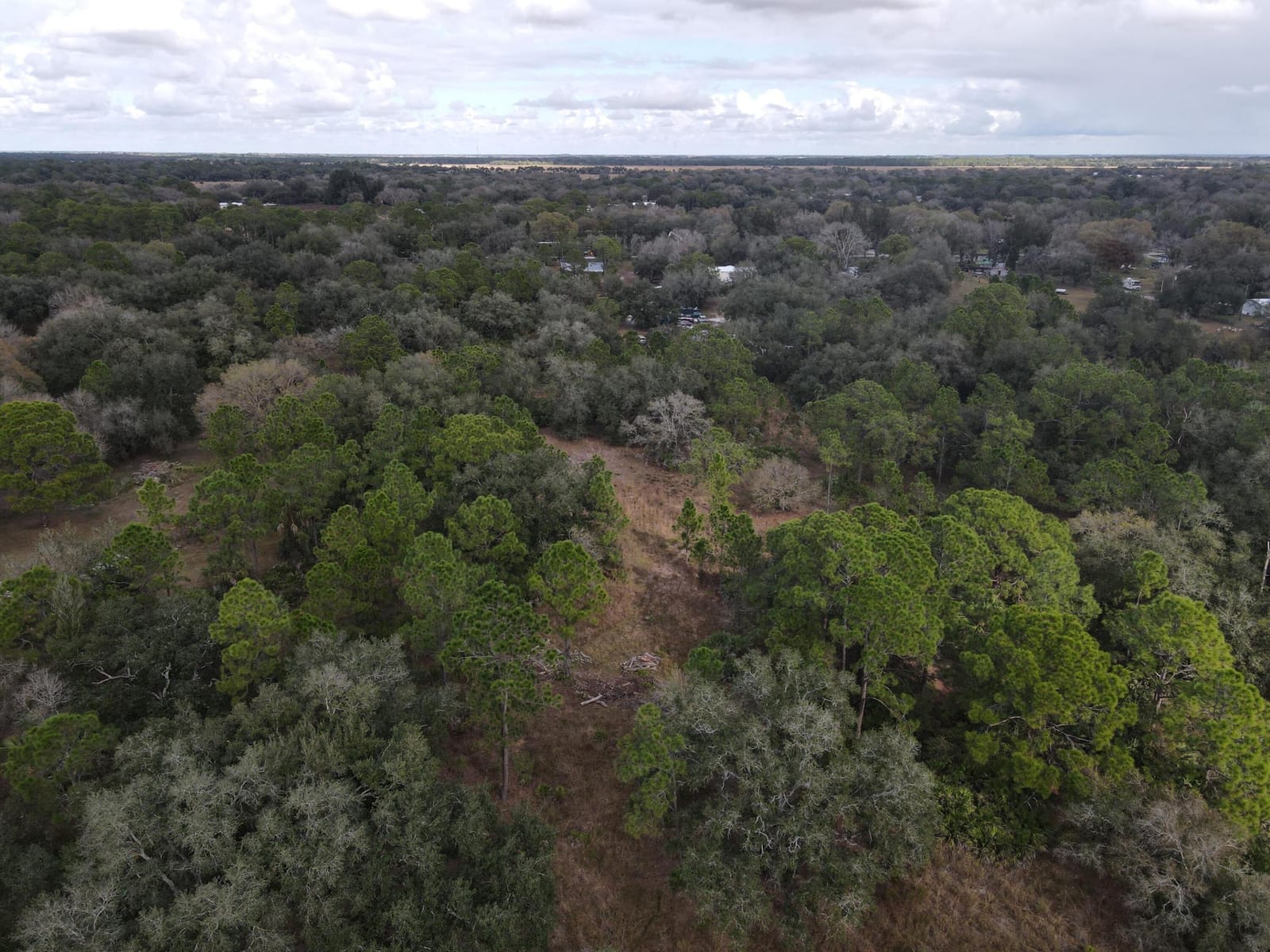 1245 NW 98th Street, Okeechobee, FL 34972 photo 14