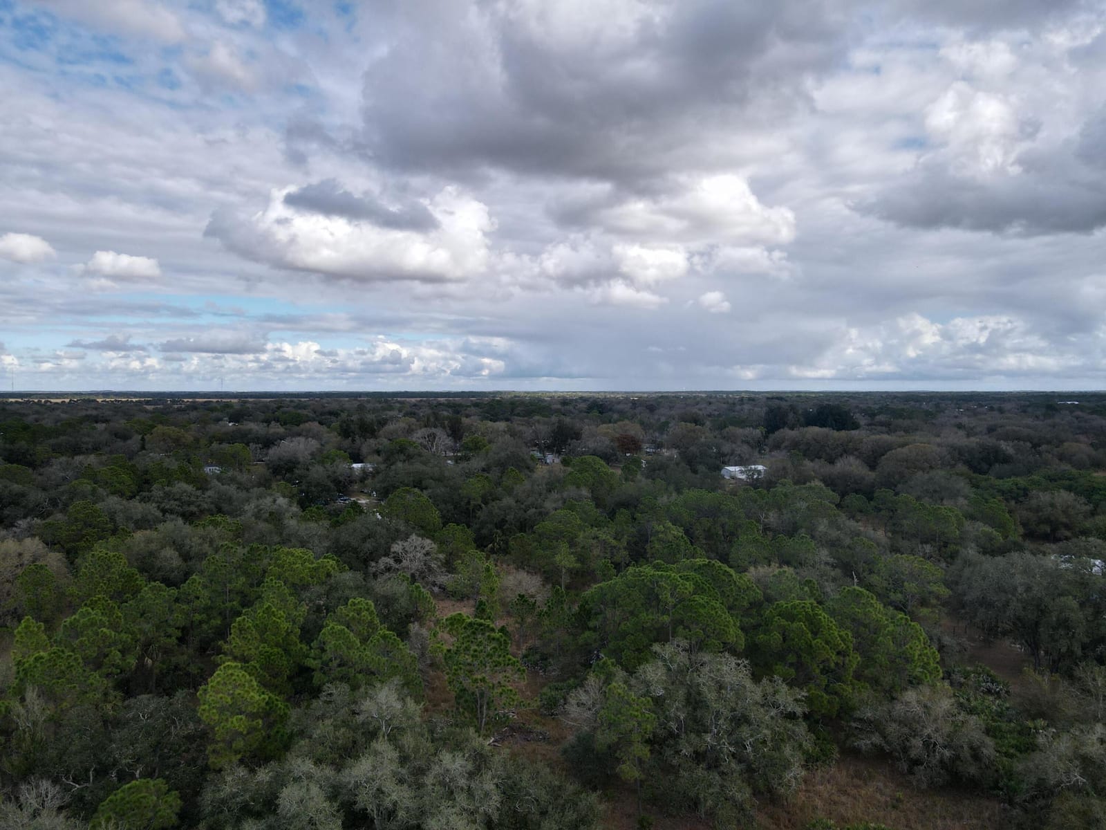 1245 NW 98th Street, Okeechobee, FL 34972 photo 15