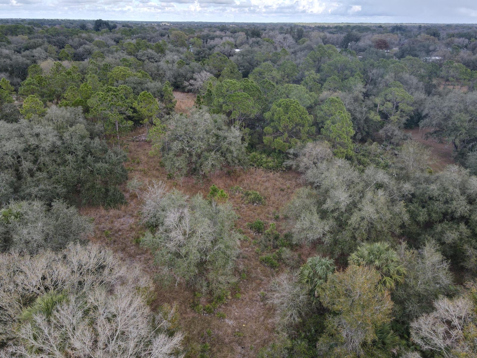 1245 NW 98th Street, Okeechobee, FL 34972 photo 8