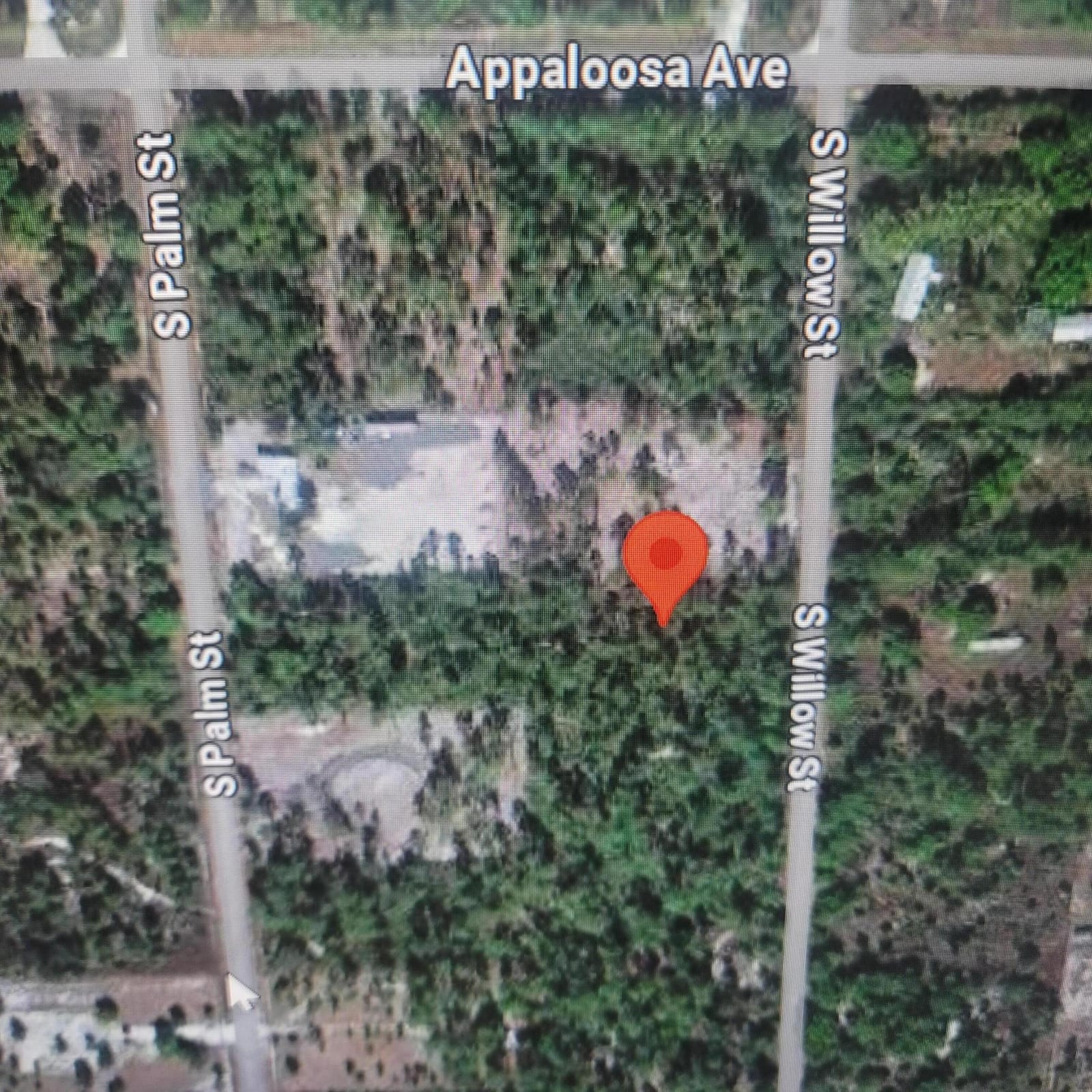 730 S Willow — photo 3