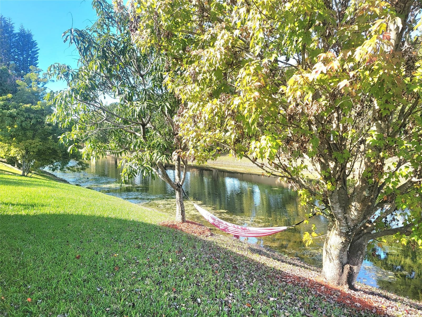 8829 NW 45th Place, Coral Springs, FL 33065 photo 19
