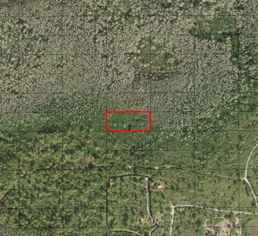 0 Holopaw Groves Road, St. Cloud, FL 34772, St Cloud
