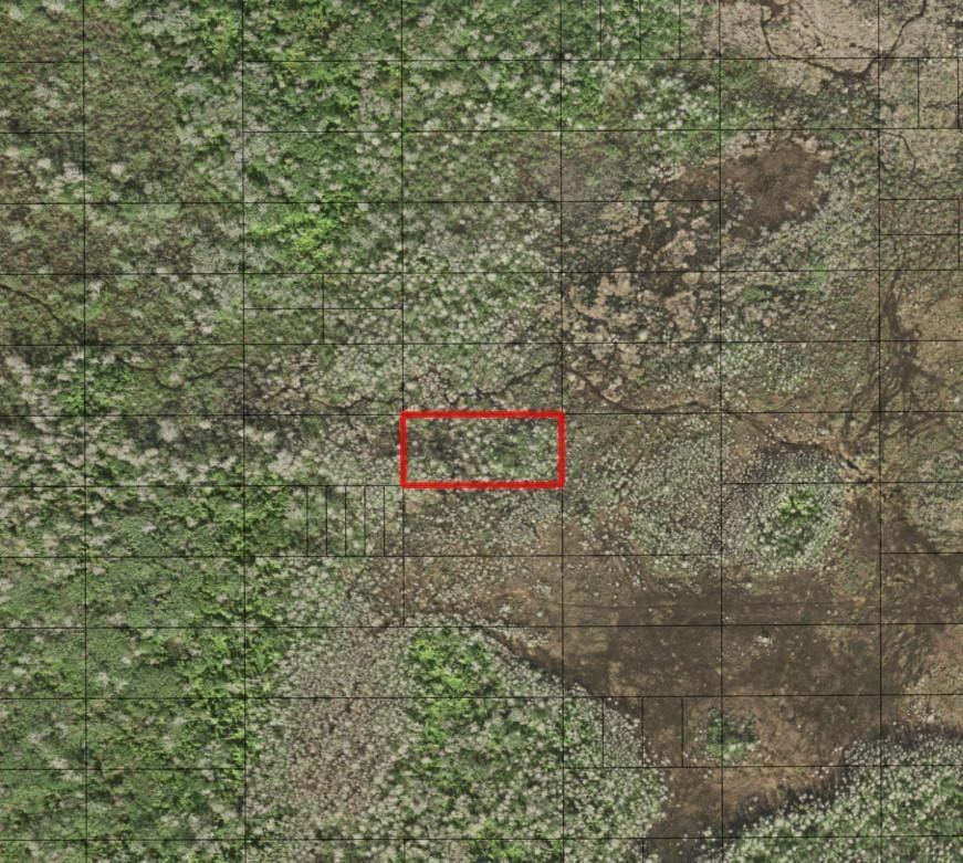 0 Holopaw Groves Road — photo 2