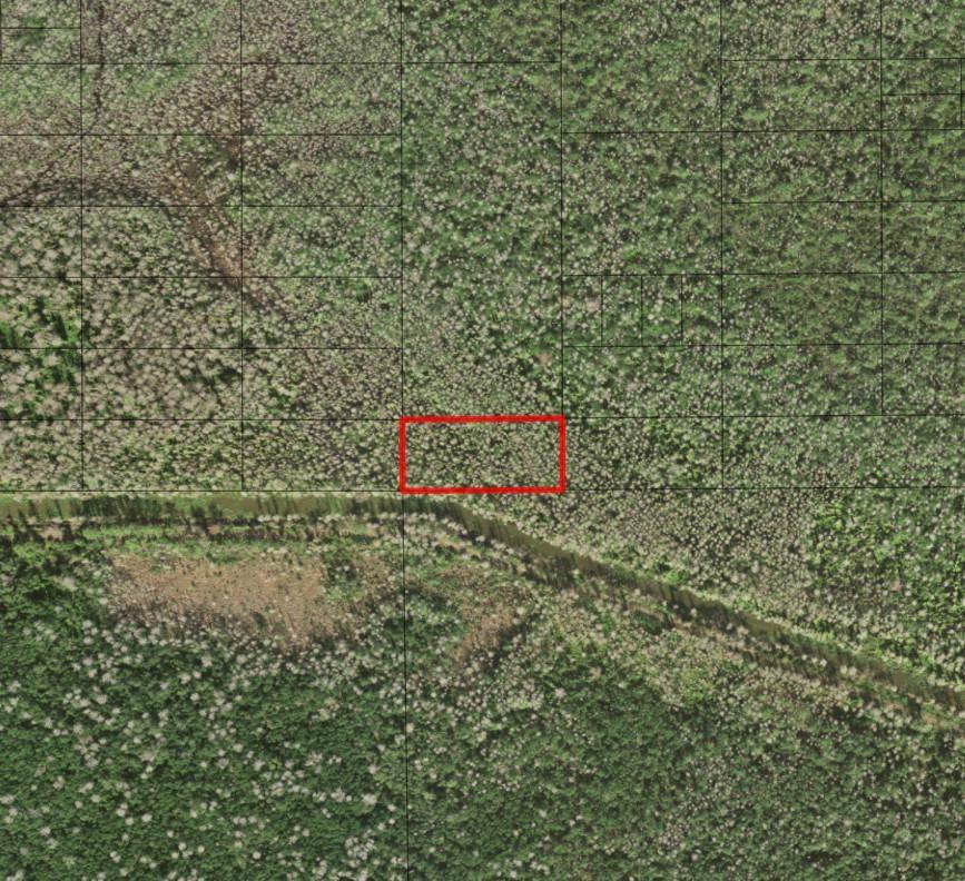 0 Holopaw Groves Road, St. Cloud, FL 34772, St Cloud