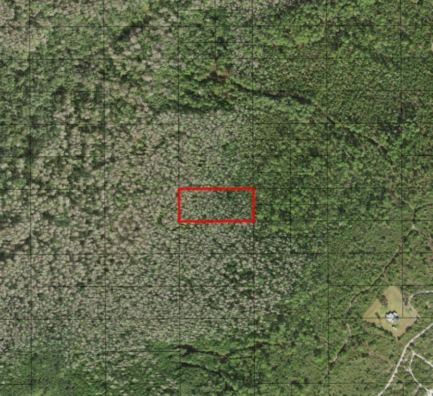 0 Holopaw Groves Road, St. Cloud, FL 34772, St Cloud