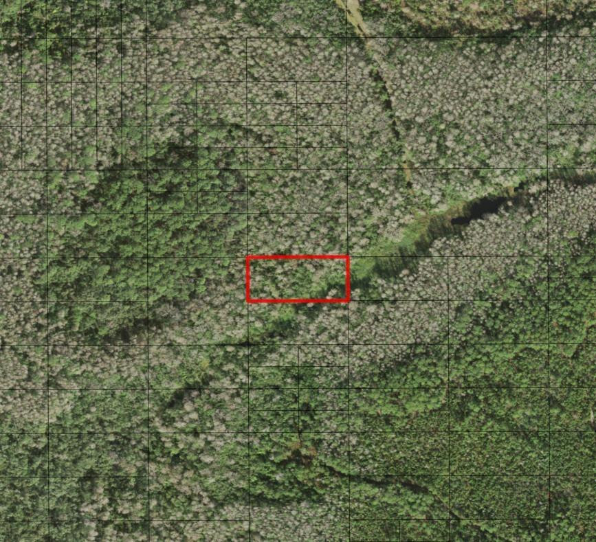 0 Holopaw Groves Road, St. Cloud, FL 34772, St Cloud