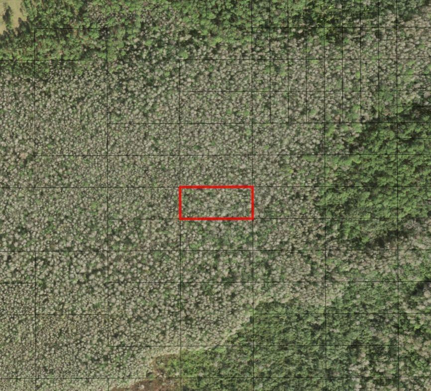 0 Holopaw Groves Road, St. Cloud, FL 34772, St Cloud