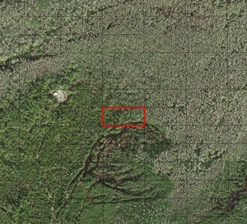 0 Holopaw Groves Road, St. Cloud, FL 34772, St Cloud