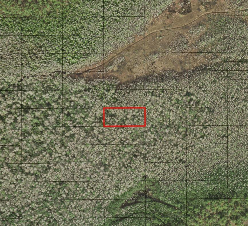 0 Holopaw Groves Road, St. Cloud, FL 34772, St Cloud