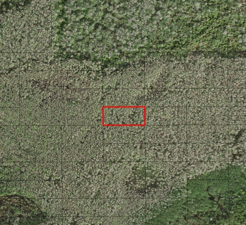 0 Holopaw Groves Road, St. Cloud, FL 34772, St Cloud