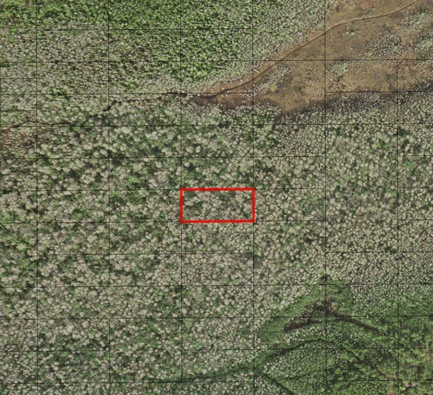 0 Holopaw Groves Road, St. Cloud, FL 34772, St Cloud