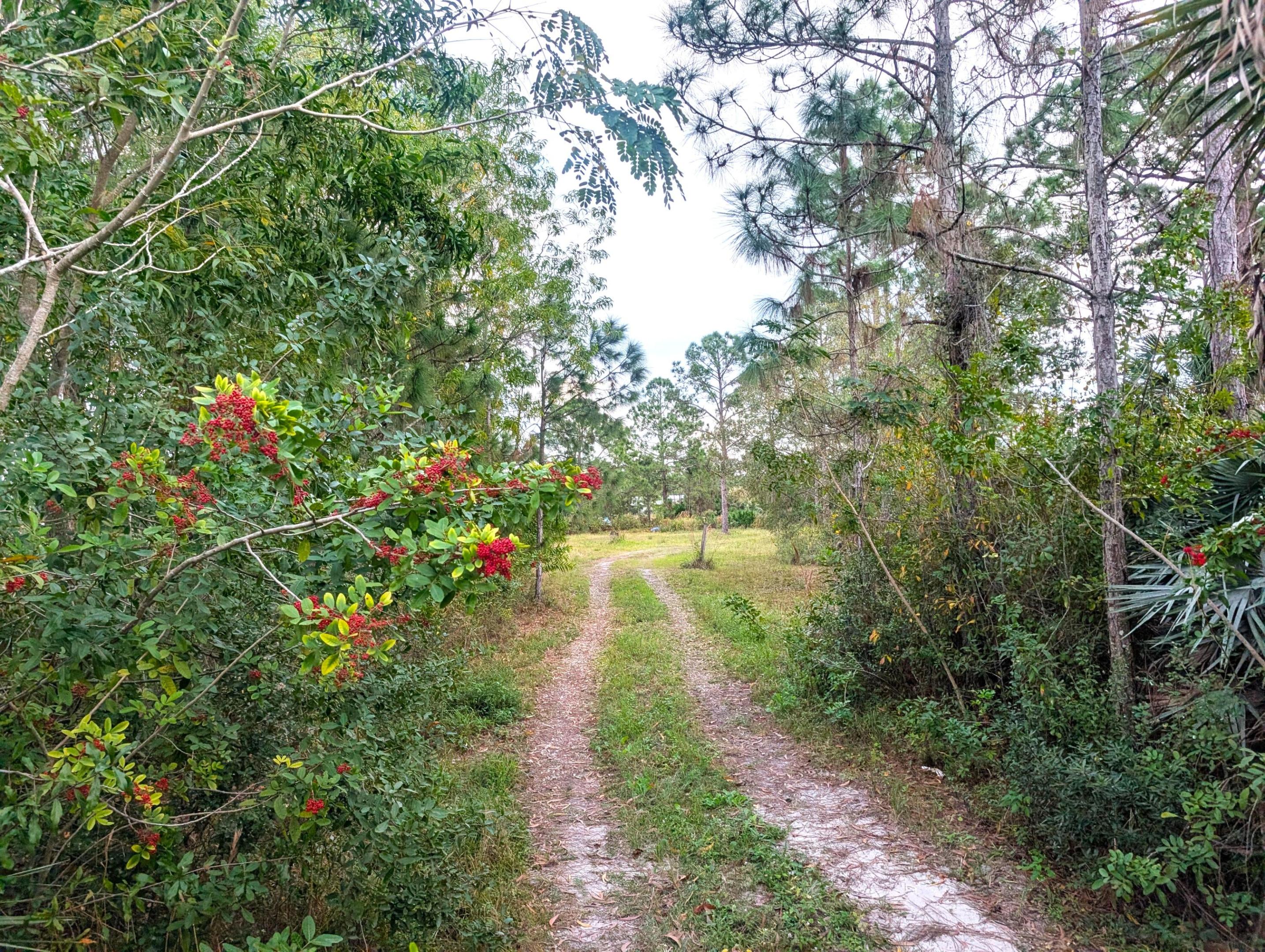 8590 130th Avenue, Fellsmere, FL 32948, Fellsmere