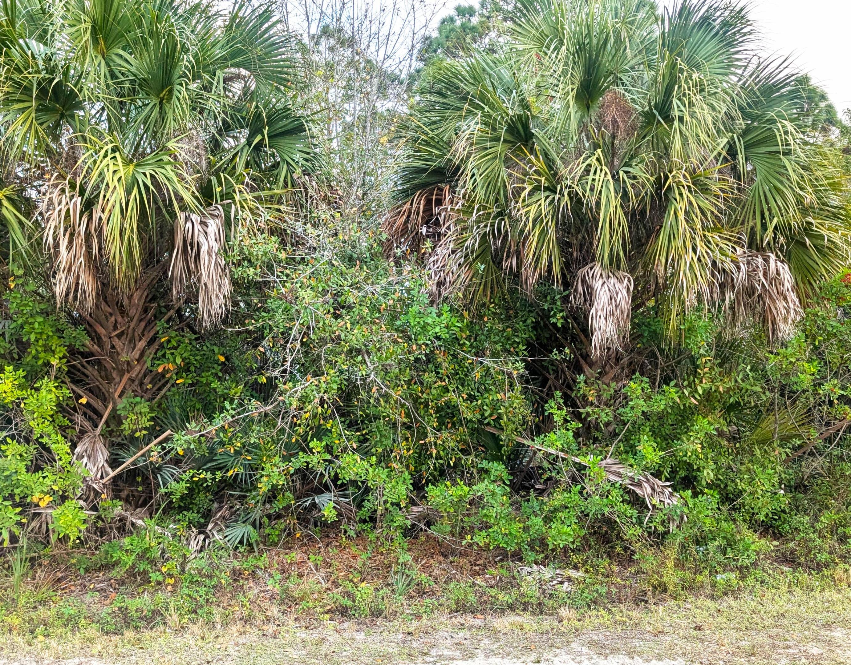 12885 86th Street, Fellsmere, FL 32948, Fellsmere