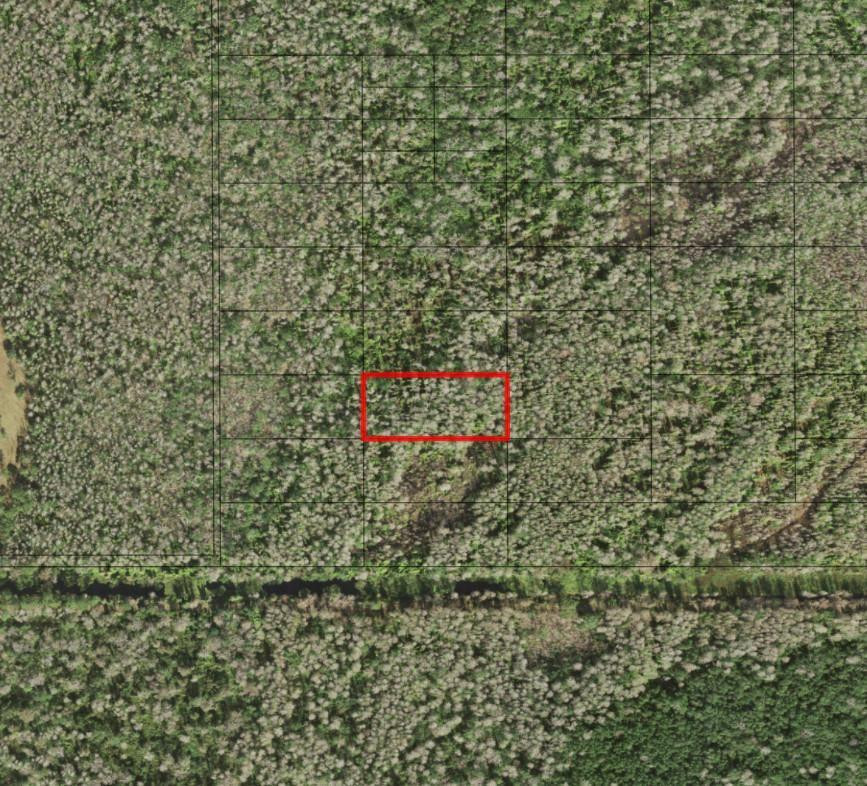 0 Holopaw Groves Road, St. Cloud, FL 34772, St Cloud