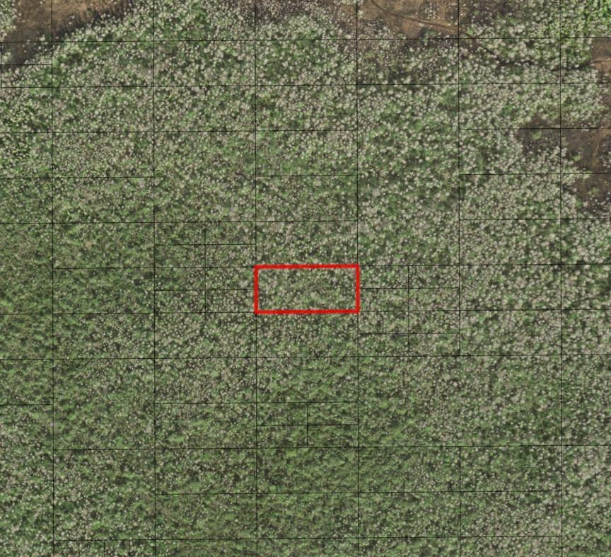 0 Holopaw Groves Road, St. Cloud, FL 34772, St Cloud