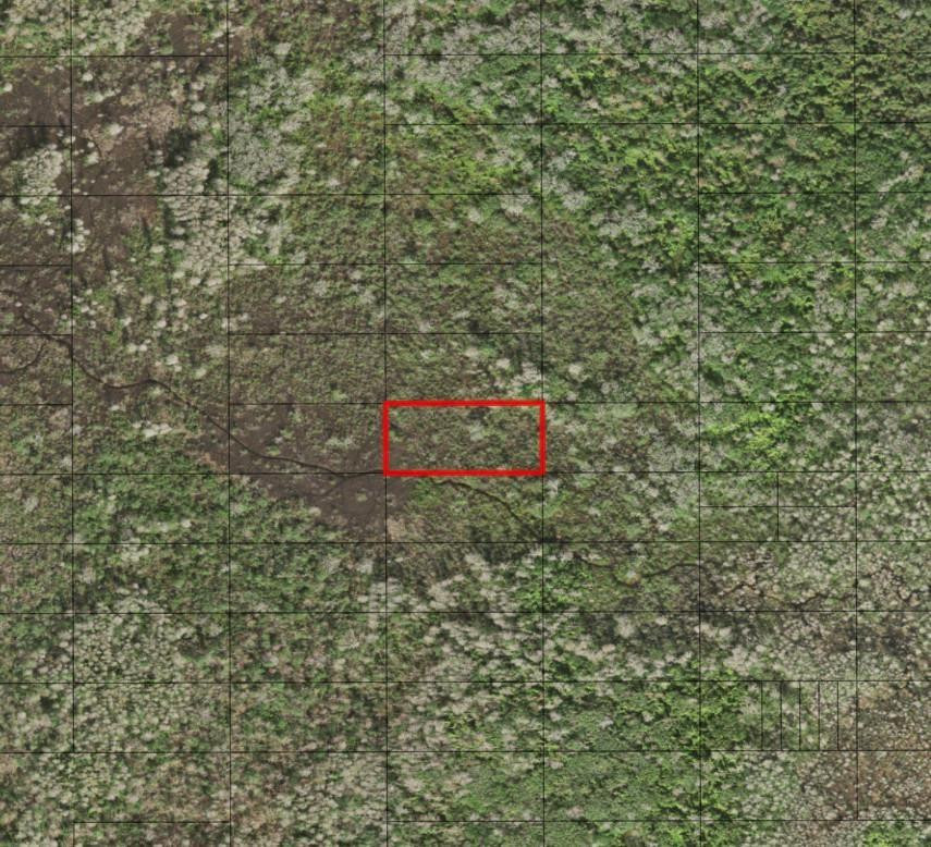 0 Holopaw Groves Road, St. Cloud, FL 34772, St Cloud